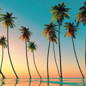 Meet your Posher, Cenan